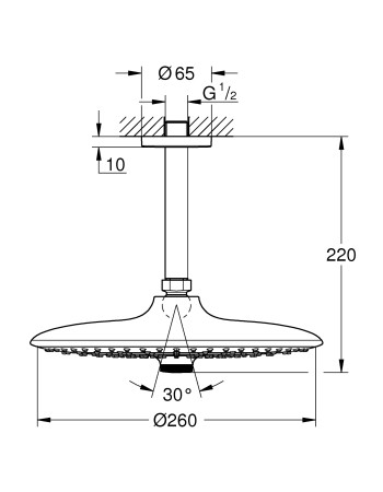 Верхній душ з стельовим кронштейном Grohe Euphoria 26461000