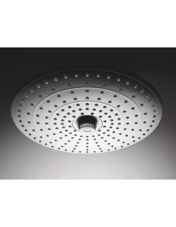 Верхній душ з стельовим кронштейном Grohe Euphoria 26461000
