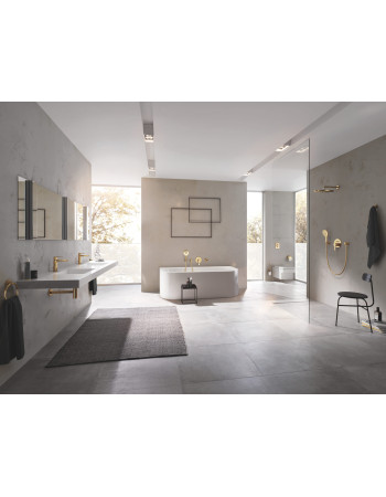 Тримач для туалетного паперу Grohe Essentials New 40367GL1