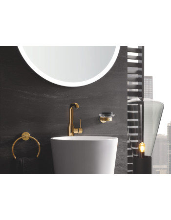 Тримач для аксесуарів Grohe Essentials New 40369GL1
