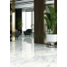 Керамограніт TEO Ceramics Attica white 60х120 полірована