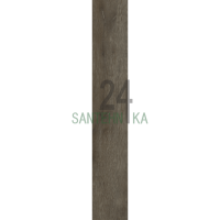 Керамограніт TEO Ceramics Fortezza brown 19,8х120 матова