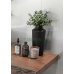 Керамічна плитка TEO Ceramics Snow white 30,8х60,8 матова сатинова